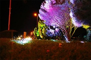 نمونه کارها