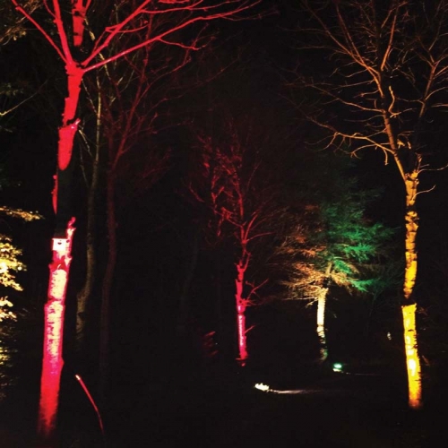 کاربرد چراغ استخری گرد LED دفنی ۱۲ وات مدل B101