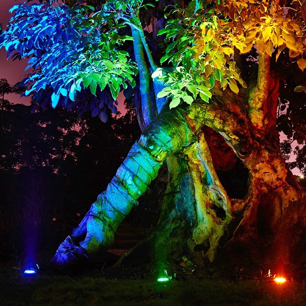 نورپردازی درخت با پروژکتور و چراغ دفنی
