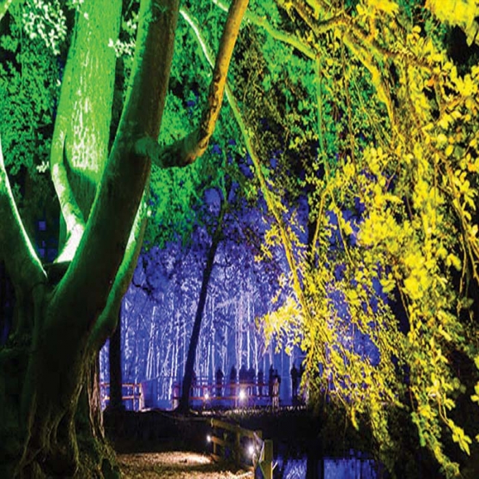 چراغ استخری LED گرد پایه دار ۱۲ ولت مدل SA12 با استاندارد IP68 4 کاربرد چراغ استخری LED گرد پایه دار ۱۲ ولت مدل SA12