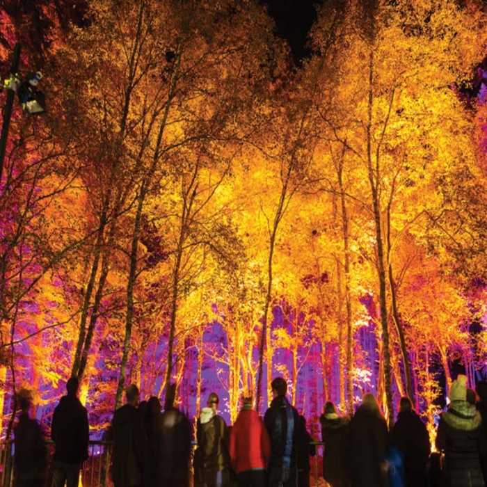 پروژکتور استخری مدل SA132