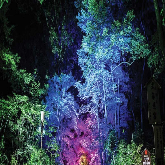 پروژکتور استخری مدل SA132