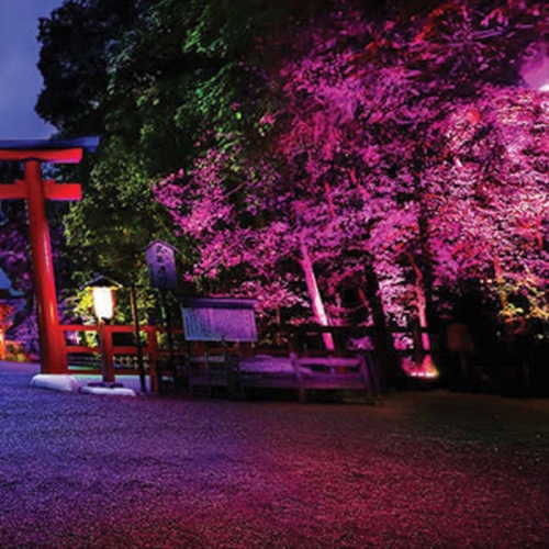 کاربرد چراغ گرد استخری پایه دار ۶ وات مدل SA23