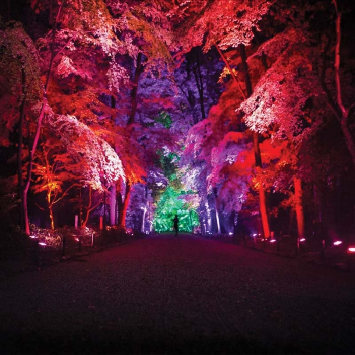 کاربرد چراغ گرد 36 وات LED مدل SAM45