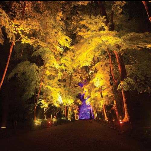 کاربرد چراغ گرد 36 وات LED مدل SAM45