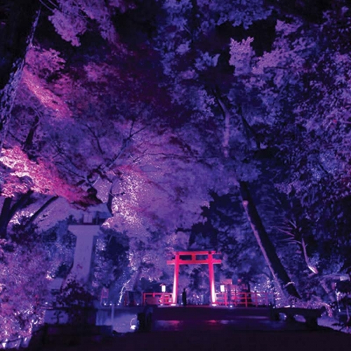 کاربرد چراغ گرد 36 وات LED مدل SAM55