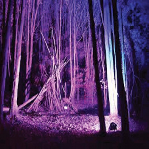 کاربرد چراغ استخری گرد LED دفنی ۲۴ وات مدل SM26