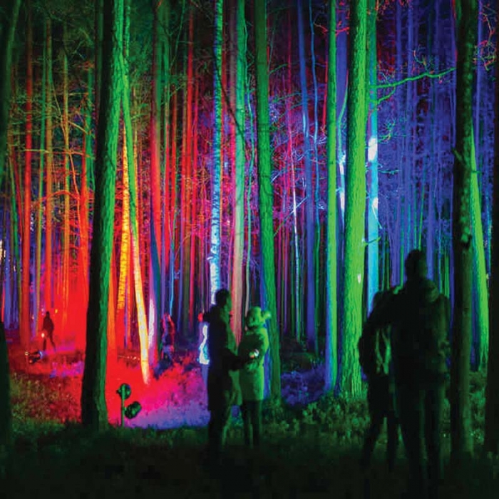 کاربرد چراغ استخری گرد LED دفنی ۶ وات مدل SM27