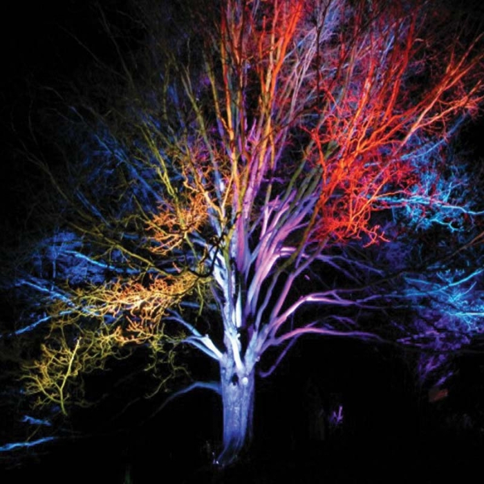 کاربرد چراغ استخری LED گرد دفنی ۹ وات مدل SM28