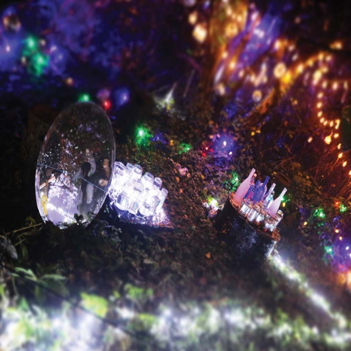 کاربرد پروژکتور استخری دفنی 24 وات مدل SM29