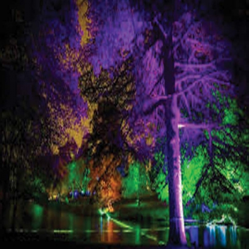 کاربرد پروژکتور استخری دفنی 24 وات مدل SM29