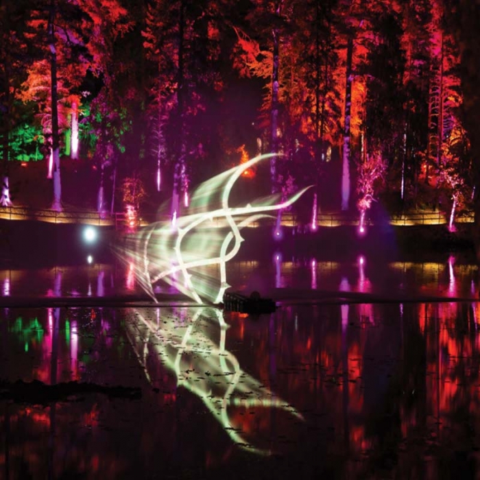 پروژکتور پایه دار ۳۶ وات LED مدل SA106 با استاندارد IP68 4 کاربرد پروژکتور پایه دار ۳۶ وات LED مدل SA106