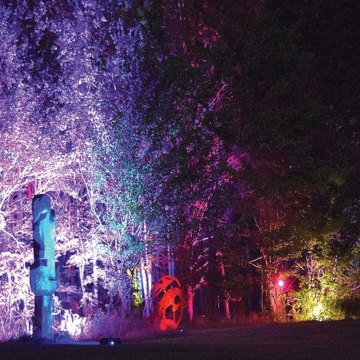 پروژکتور دفنی 15 وات LED مدل SM55 با استاندارد IP68