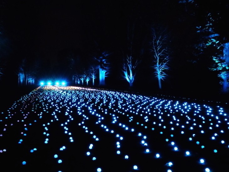 نورپردازی کف زمین با رشته LEDهای آبی
