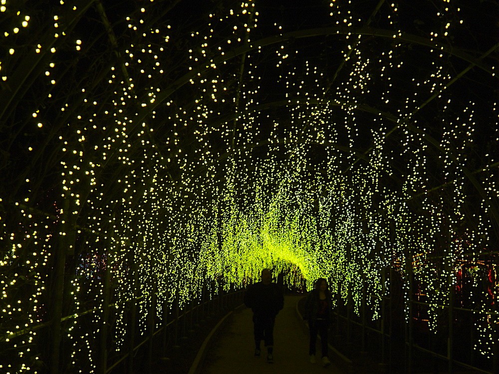 نورپردازی حیاط با رشته ال ای دی LED