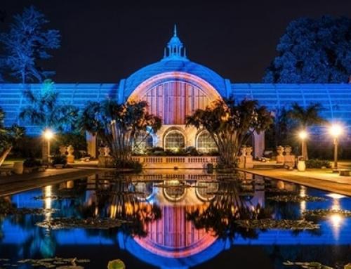 روش‌ها و اقدامات رایج برای طراحی نورپردازی پارک