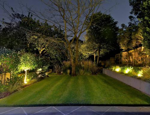 نورپردازی محوطه