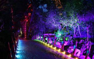 راهنمای جامع انواع نورپردازی و تأثیر آن در طراحی فضا