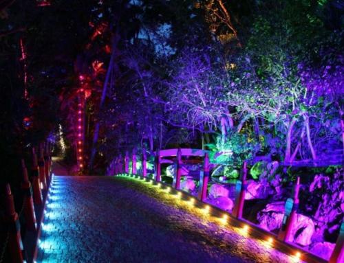 راهنمای جامع انواع نورپردازی و تأثیر آن در طراحی فضا