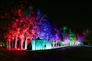 راهنمای جامع انواع نورپردازی و تأثیر آن در طراحی فضا