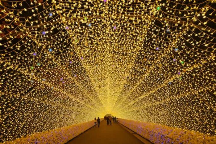 تونل نوری ریسه‌ای - Image 2