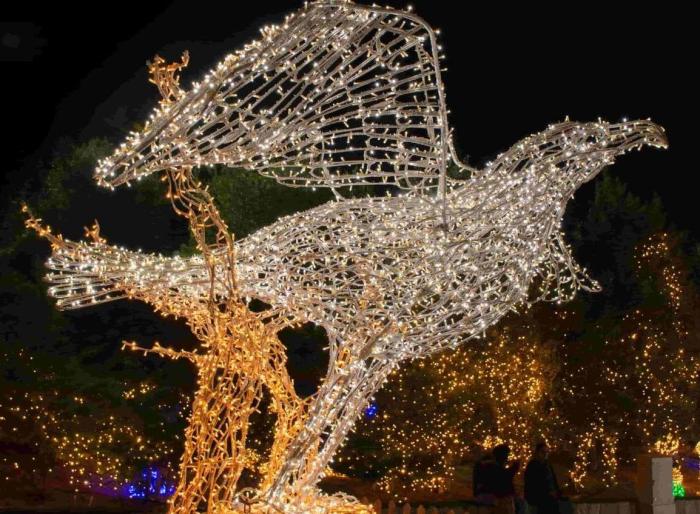 المان نوری عقابی