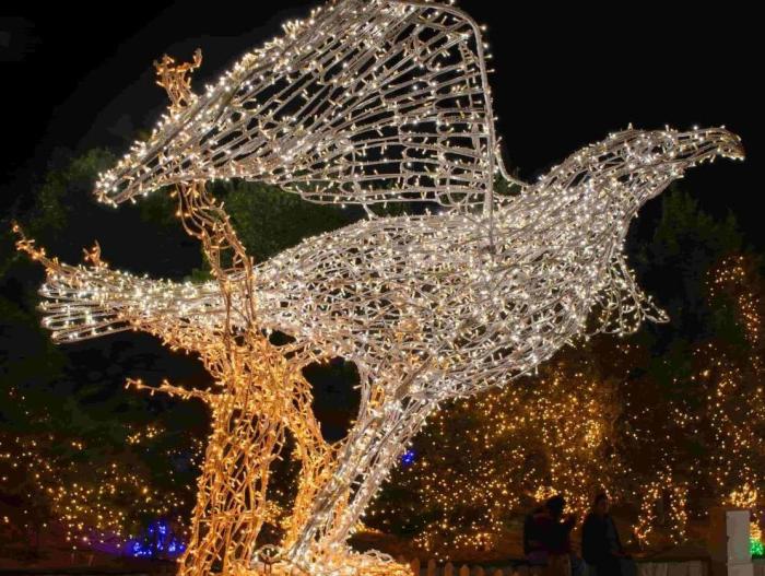 المان نوری عقابی - Image 2