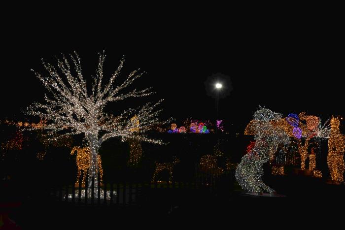 المان درختی - Image 5