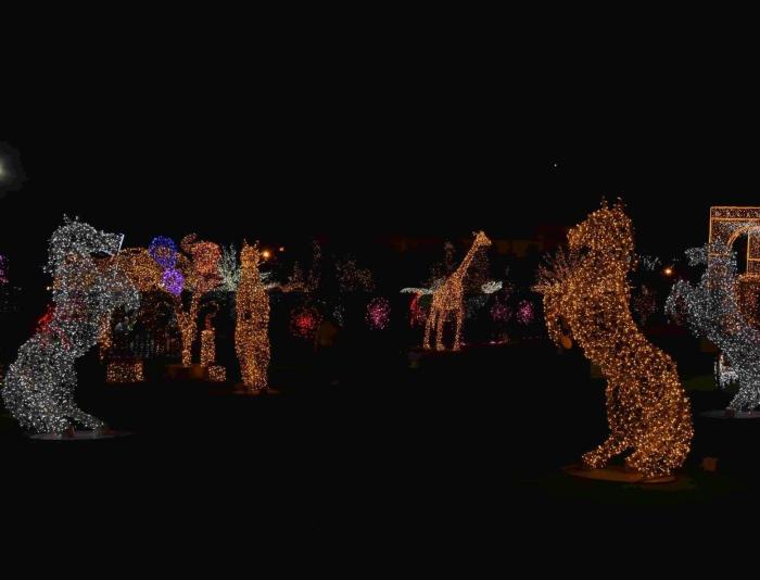 المان حیوانات