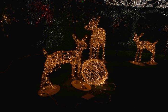 المان آهو - Image 2