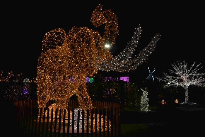 المان حیوانات - Image 4