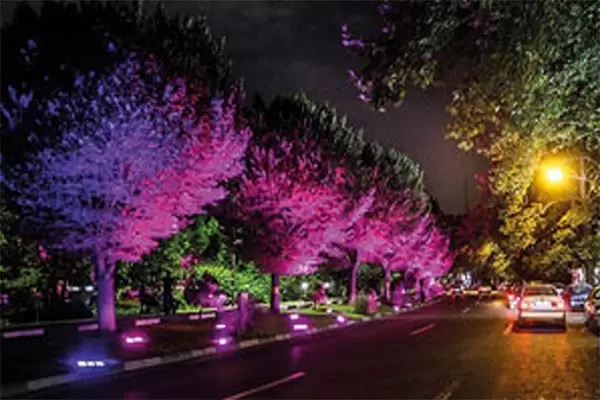 نورپردازی پارک ملت امیر آباد نجف‌آباد