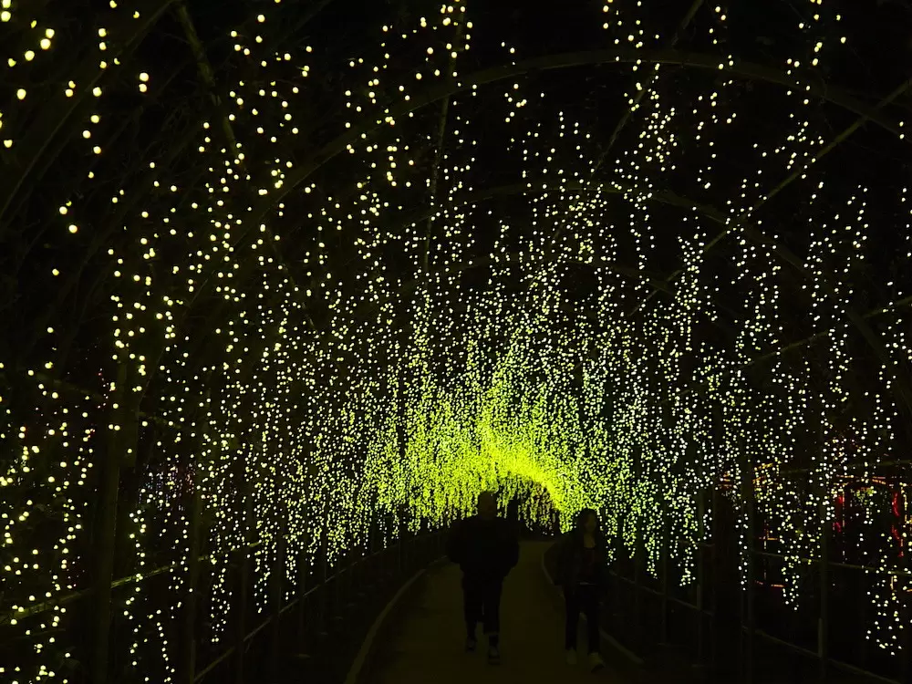 نورپردازی باغ - همه چیز درمورد نورپردازی باغ 24 نورپردازی حیاط با رشته ال ای دی LED