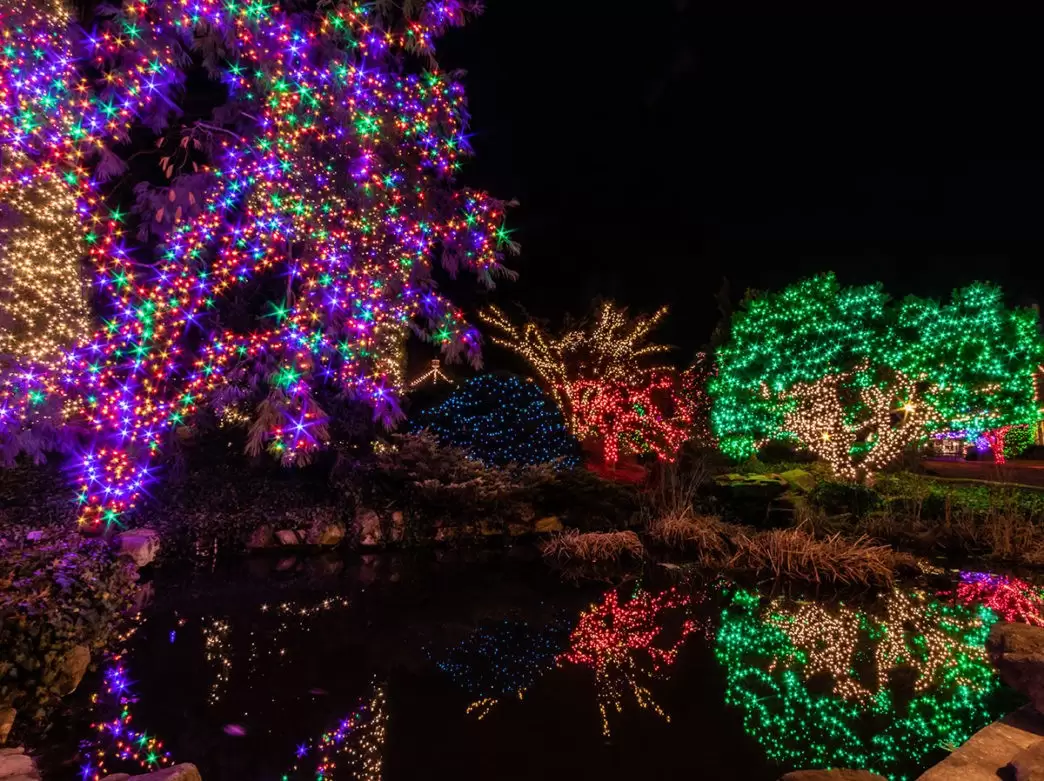 نورپردازی باغ - همه چیز درمورد نورپردازی باغ 25 نورپردازی حیاط با رشته ال ای دی LED