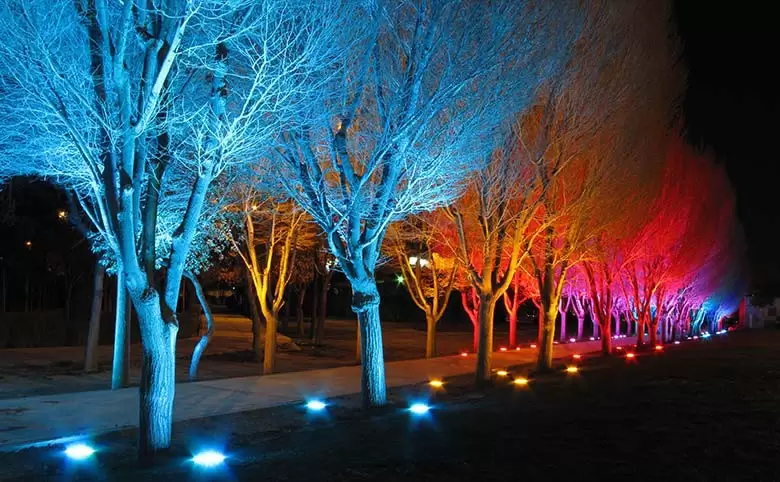 نورپردازی درختان با LEDهای RGB 