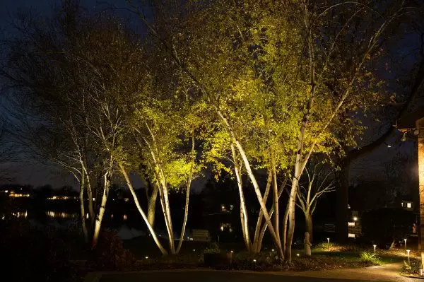 تکنیک های نورپردازی در فضای باز 8 Uplighting-for-360-degree-viewing-example2